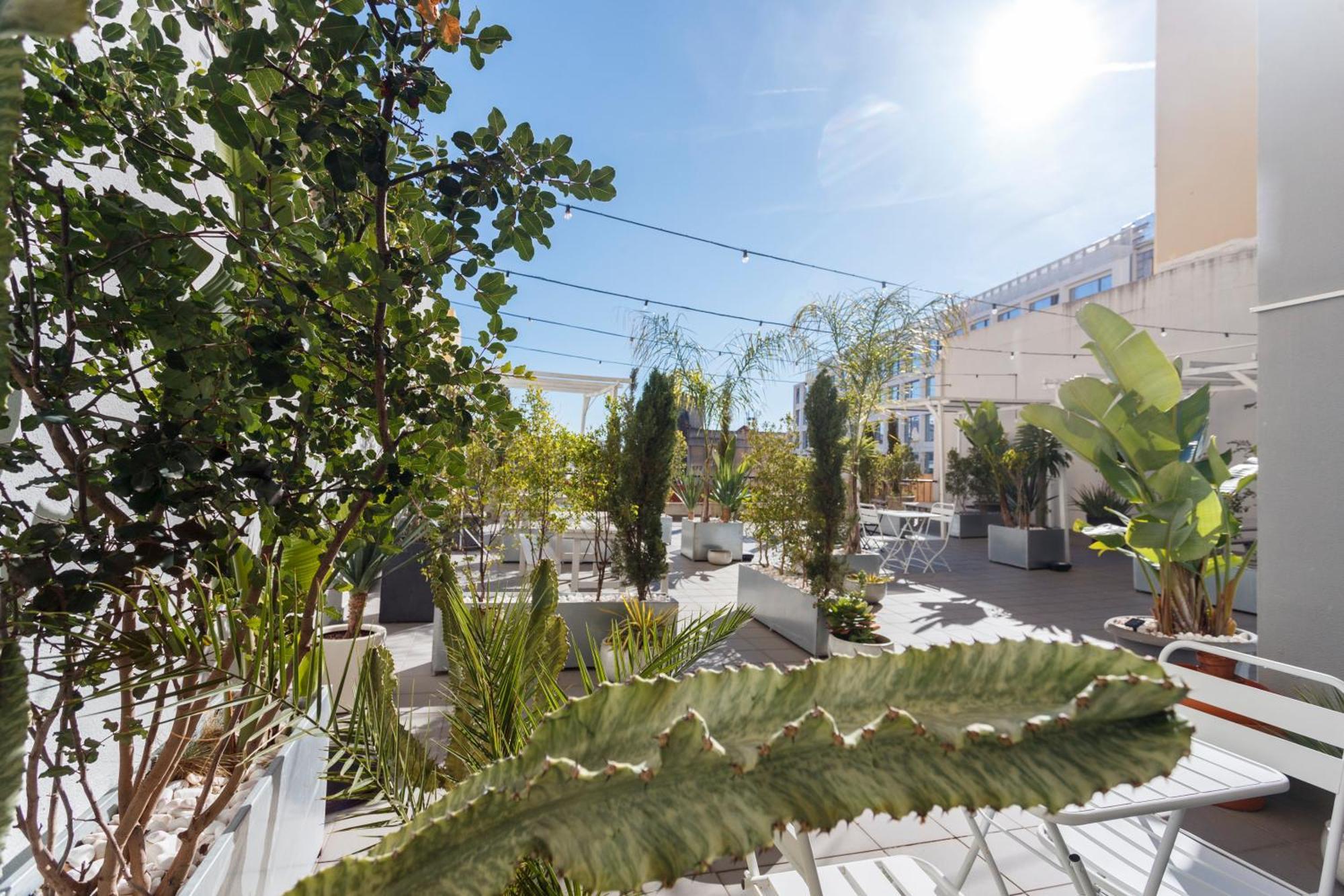 Green Wine Affair By Misha'S Place 6B Lissabon Exterior foto